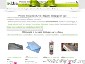 ildea.fr website preview