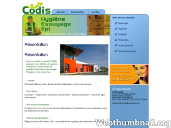 codissarl.com website preview