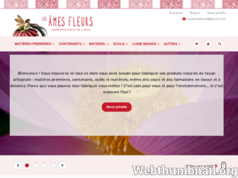 lesamesfleurs.com website preview