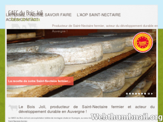 saint-nectaire-boisjoli.com website preview