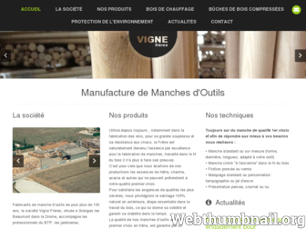 manche-vigne.fr website preview