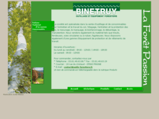 binetruy-sarl.com website preview