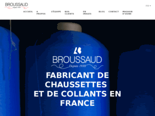 broussaud.com website preview