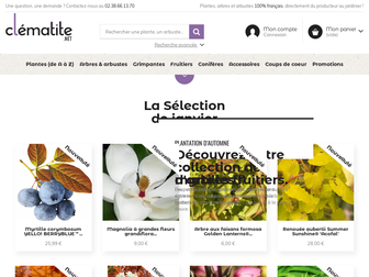 clematite.net website preview