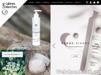 lescabinesblanches.com website preview