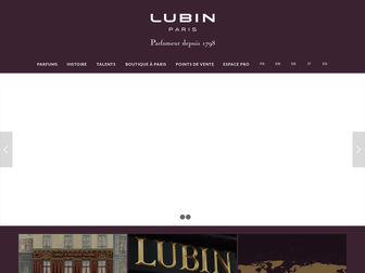 lubin.eu website preview