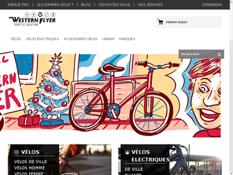 westernflyer.fr website preview