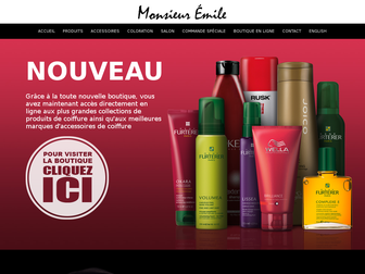 monsieuremile.com website preview