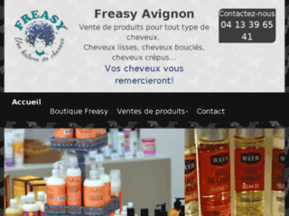 freasy-avignon.com website preview