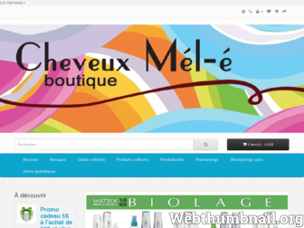 cheveuxmele.com website preview