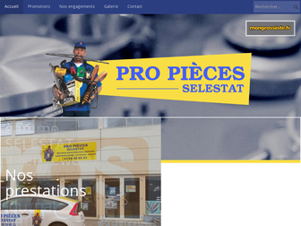 pro-pieces-selestat.com website preview