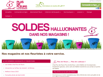 plusdefleurs.com website preview