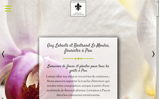 labaste-lemoulec-fleuriste-pau.fr website preview