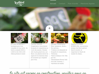tout-vert.com website preview