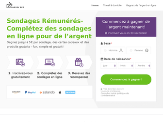 surveybee.fr website preview