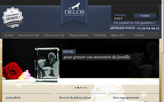 delos3d.fr website preview