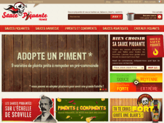 sauce-piquante.fr website preview