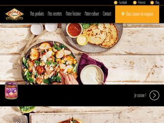 pataks.fr website preview