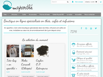 enaparthe-lyon.fr website preview
