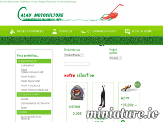 caladmotoculture.fr website preview