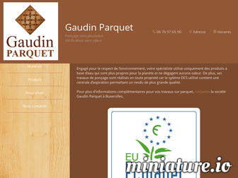 gaudin-parquet.fr website preview
