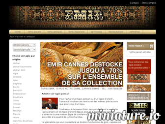 emir-tapis-persan.com website preview