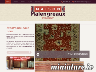 maison-malengreaux.be website preview