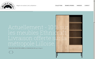 bluecargo59.com website preview