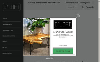 dloftshop.ca website preview