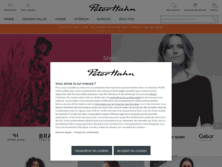 peterhahn.fr website preview