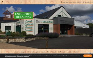 delaunay-entreprise.com website preview